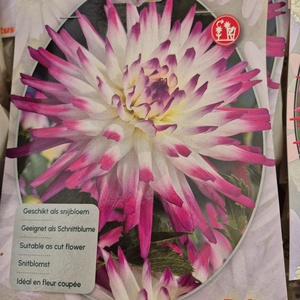 WhatsApp Image 2026-01-28 at 140654 2jpeg