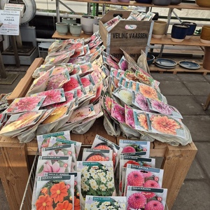 WhatsApp Image 2026-01-28 at 140654 4jpeg