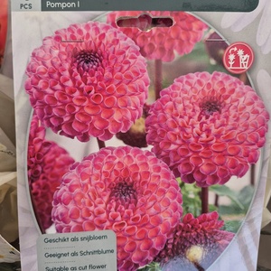 WhatsApp Image 2026-01-28 at 140654 1jpeg