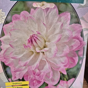 WhatsApp Image 2026-01-28 at 140655 7jpeg