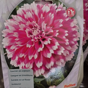 WhatsApp Image 2026-01-28 at 140655 4jpeg