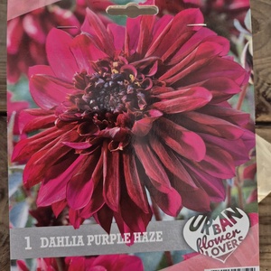 WhatsApp Image 2026-01-28 at 140653jpeg