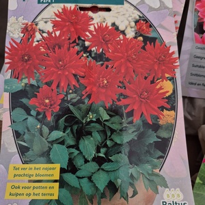 WhatsApp Image 2026-01-28 at 140655 3jpeg