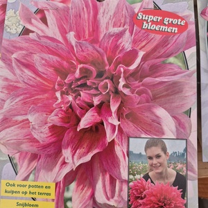 WhatsApp Image 2026-01-28 at 140653 1jpeg