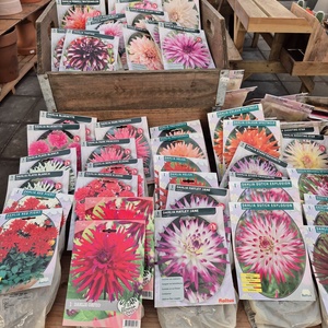 WhatsApp Image 2026-01-28 at 140655 1jpeg