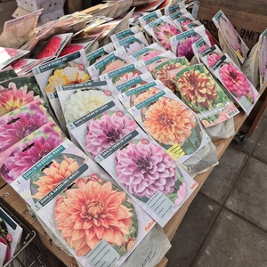 WhatsApp Image 2026-01-28 at 140655 5jpeg