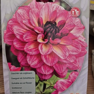 WhatsApp Image 2026-01-28 at 140652 1jpeg