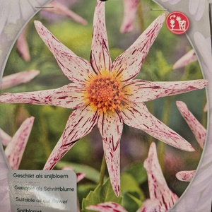 WhatsApp Image 2026-01-28 at 140654 3jpeg