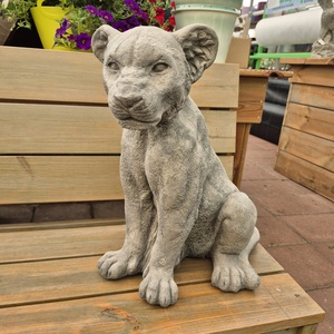 Tijger